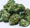 cannabis firm medmen acquires pharmacann