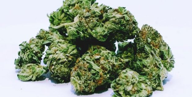 cannabis firm medmen acquires pharmacann